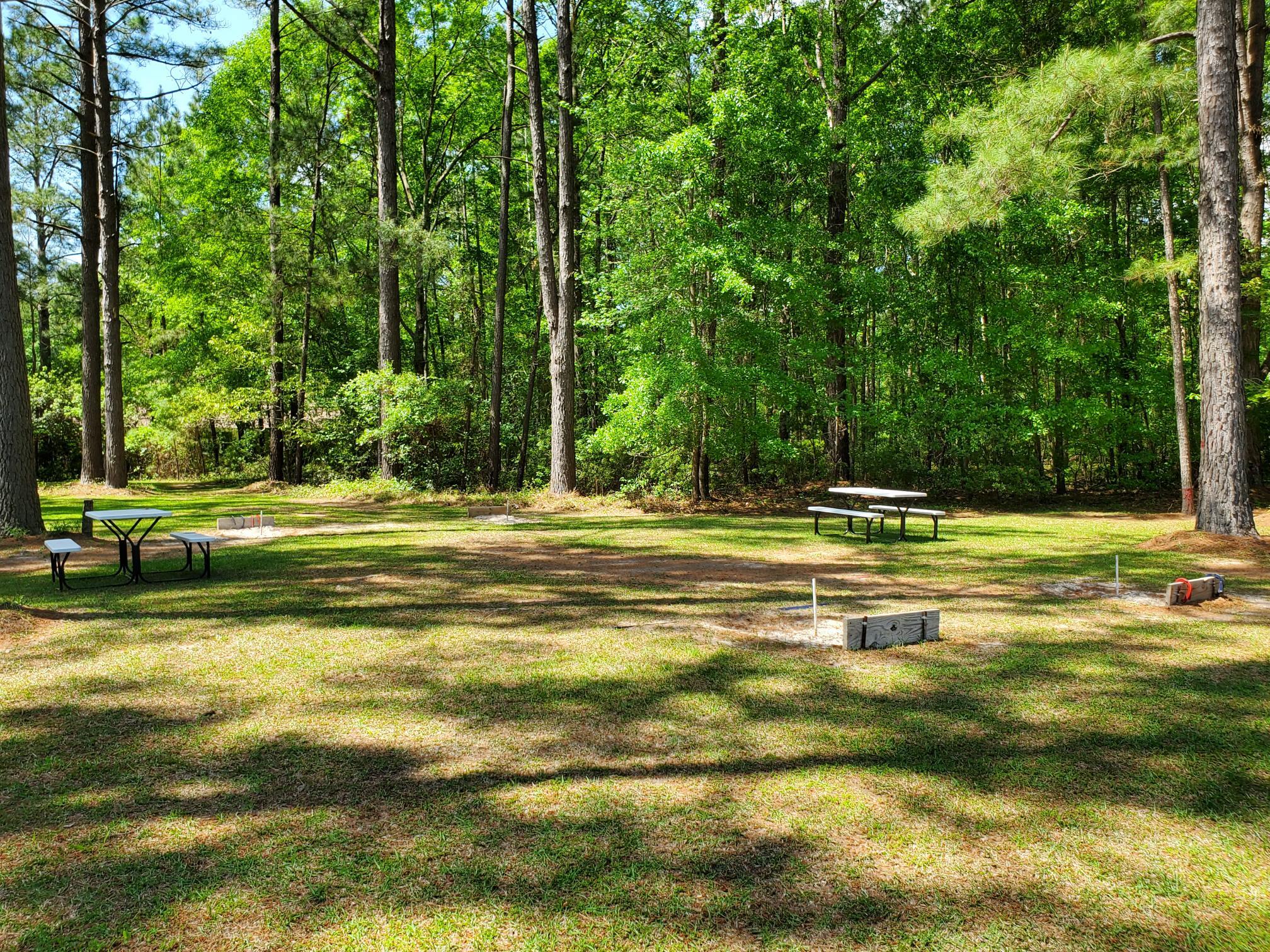 245 Plantation Drive Manning, SC 29102 - Photo 57 of 62 HORSESHOE PITS