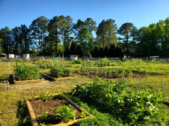 $339,000 | 245 Plantation Drive, Manning, SC 29102