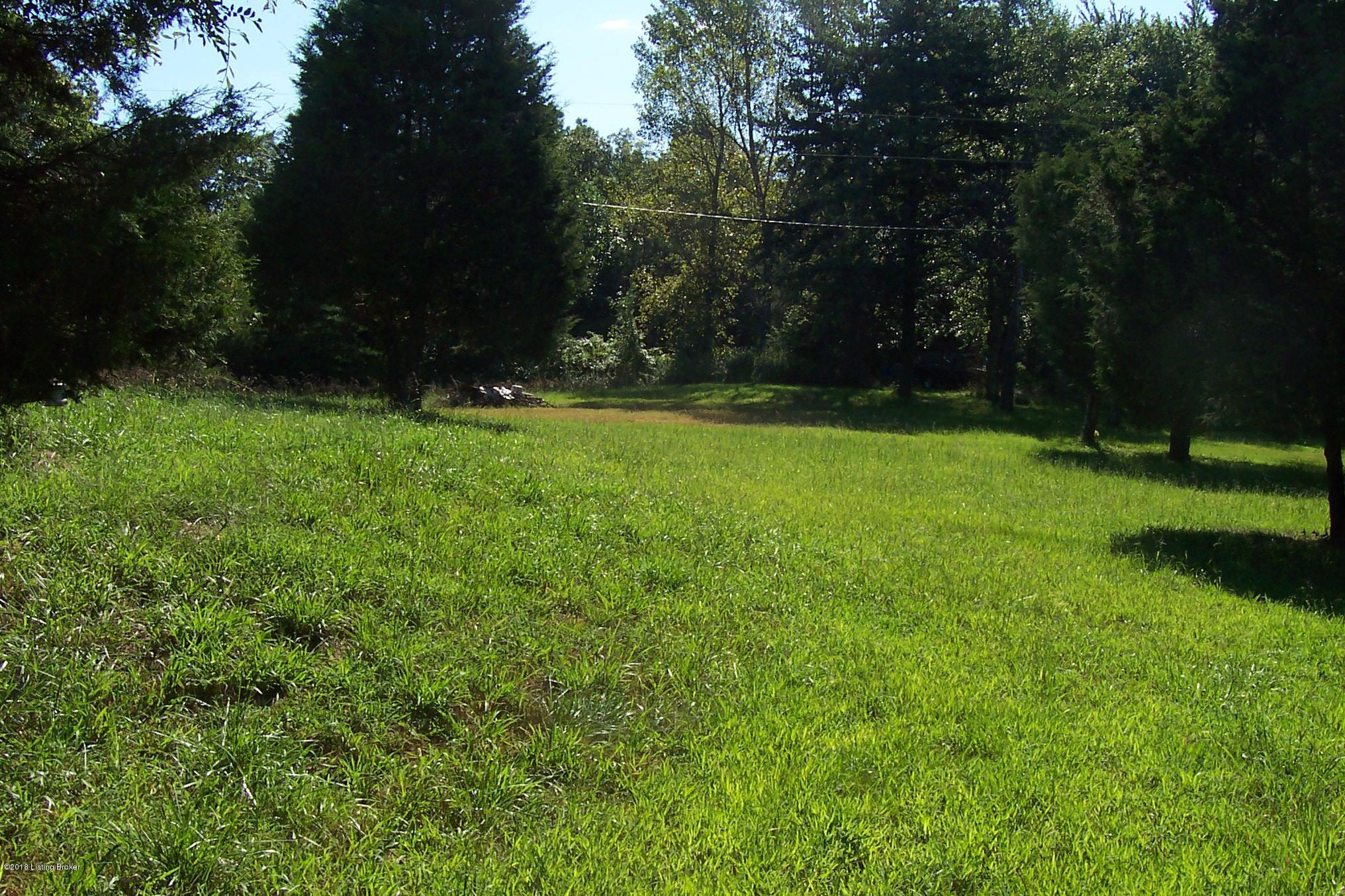 940 Webb Ford Road Clarkson, KY 42726 - Photo 1 of 5 100_6850