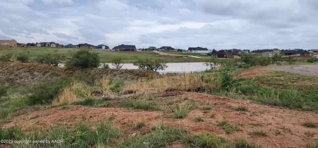 a view of a lake with a city