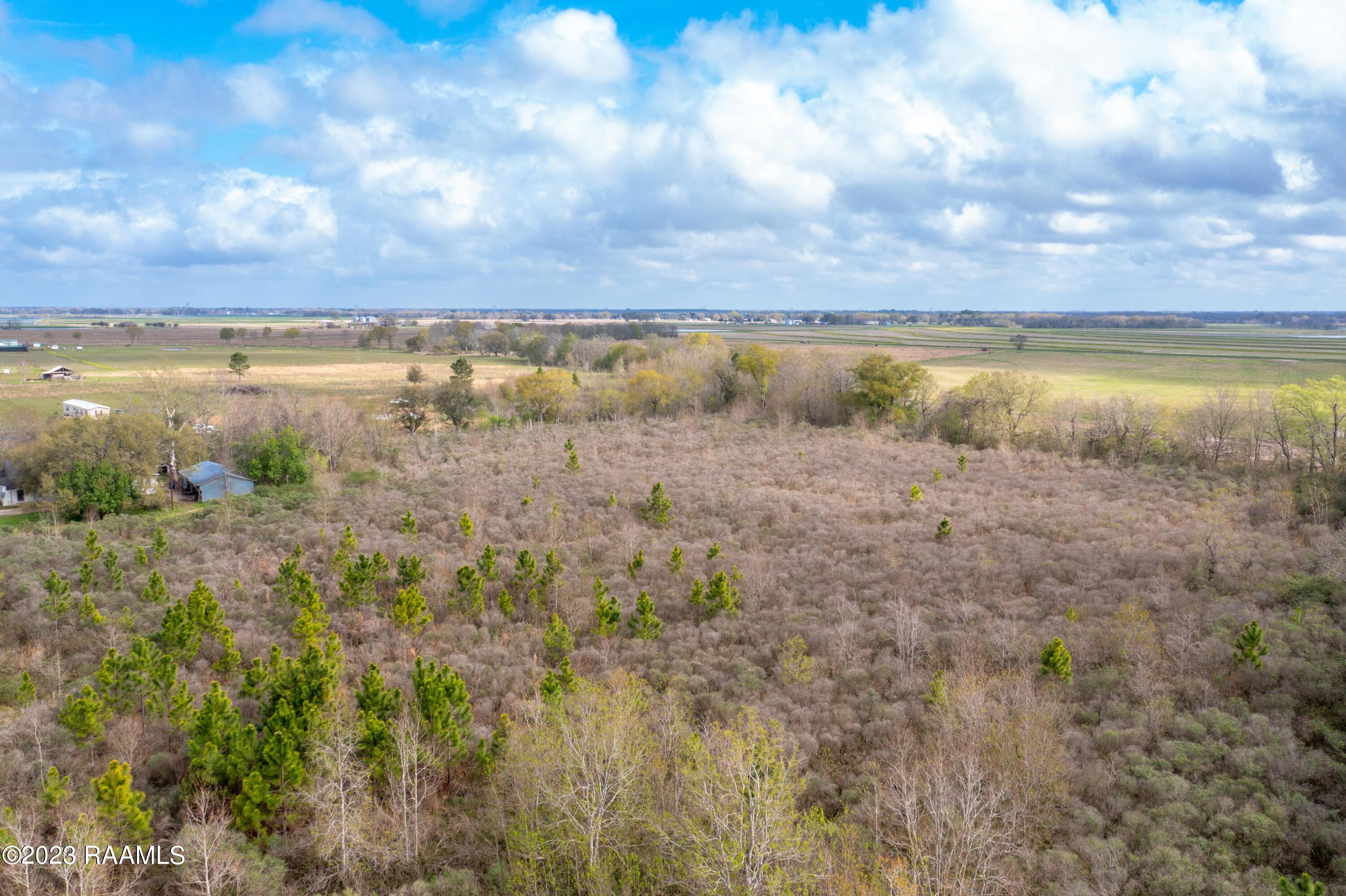 148 Boulet Road Branch, LA 70516 - Photo 3 of 4 Gallery Image 3