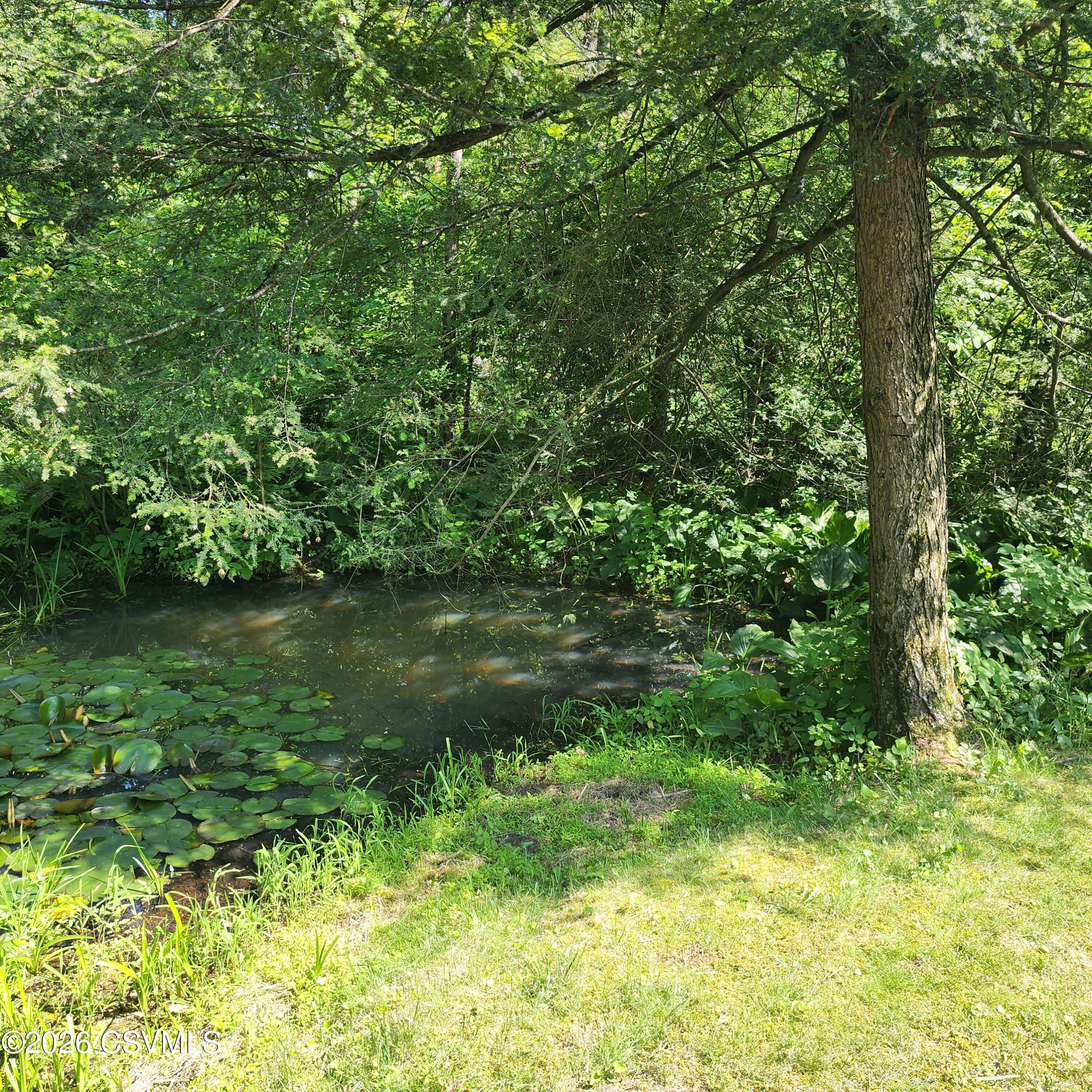 810 Creek Road Mount Pleasant Mills, PA 17853 - Photo 23 of 62 Gallery Image 23