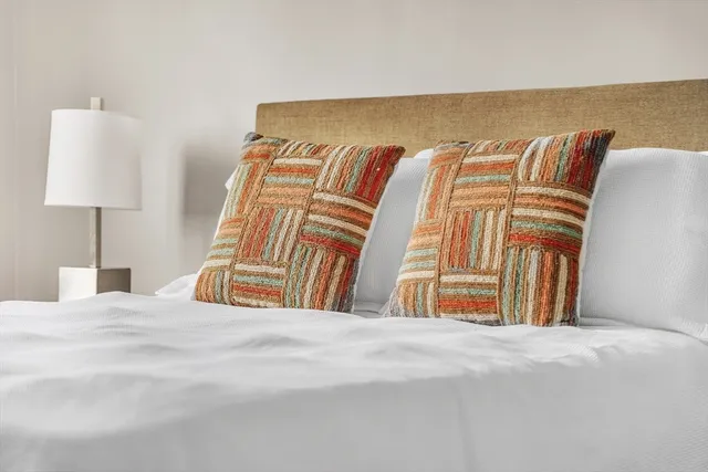 a close up of a potted plant