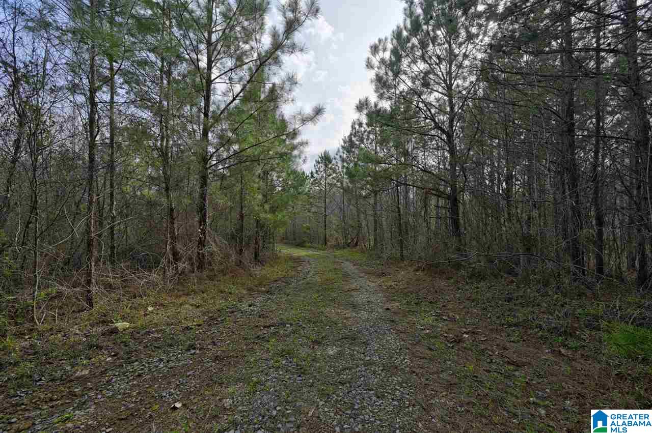 0 Joy Road Blountsville, AL 35031 - Photo 3 of 22