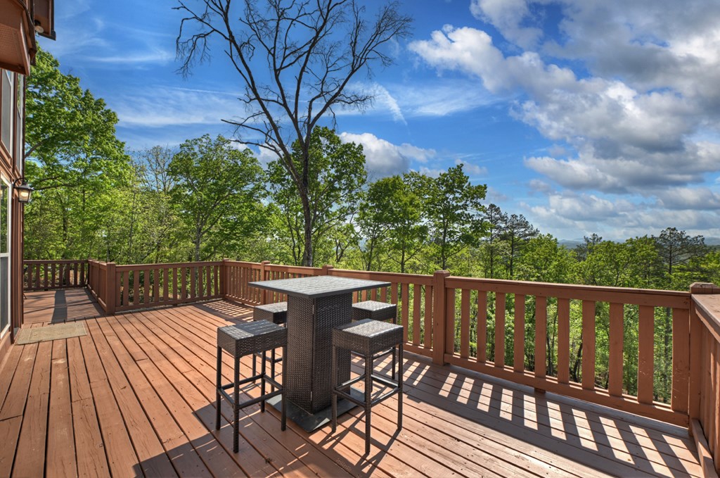 769 Voylestown Road Morganton, GA 30560 - Photo 26 of 67
