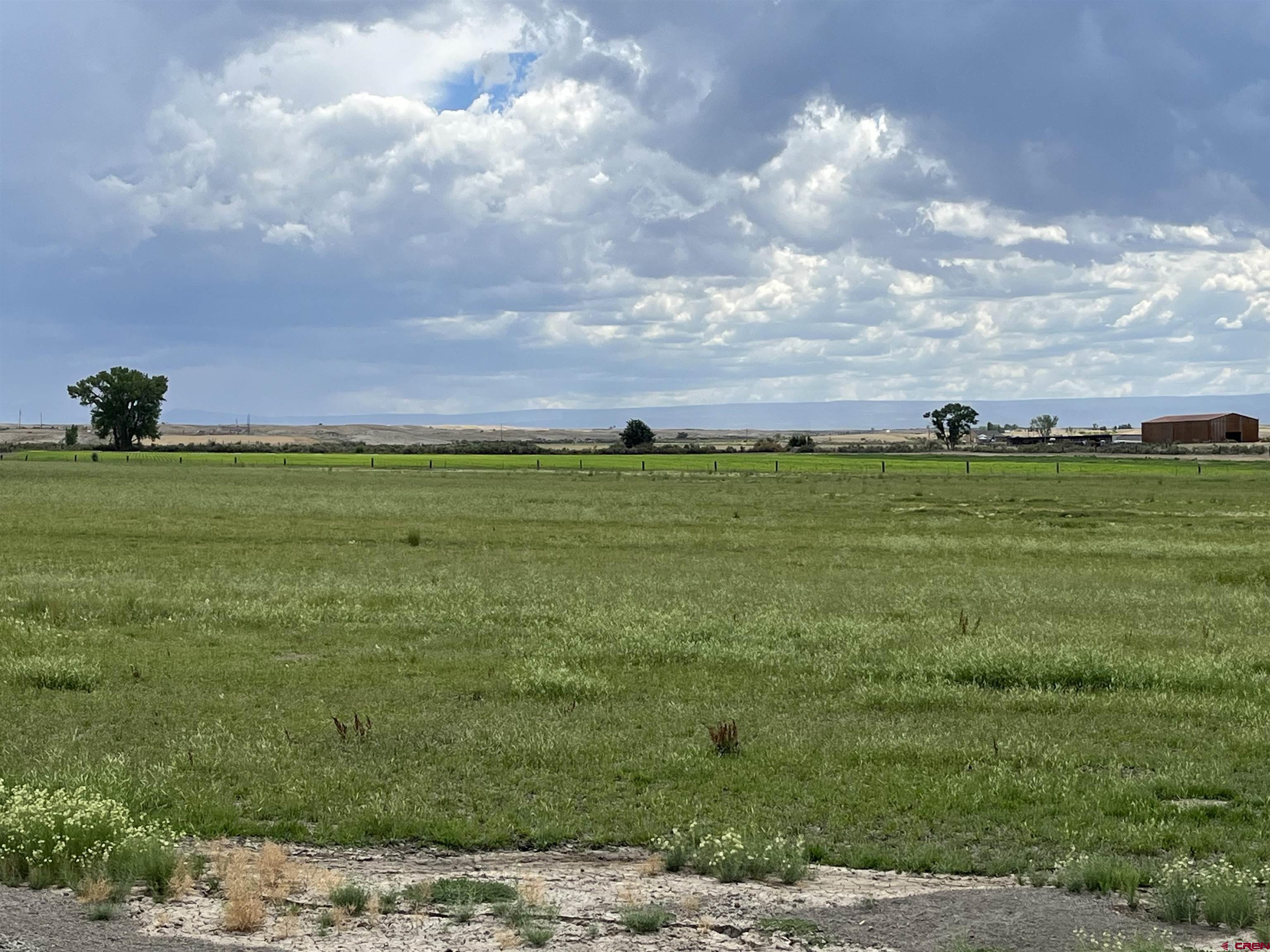 D50 D50 Road Delta, CO 81416 - Photo 2 of 12 a view of a big yard with lots of green space