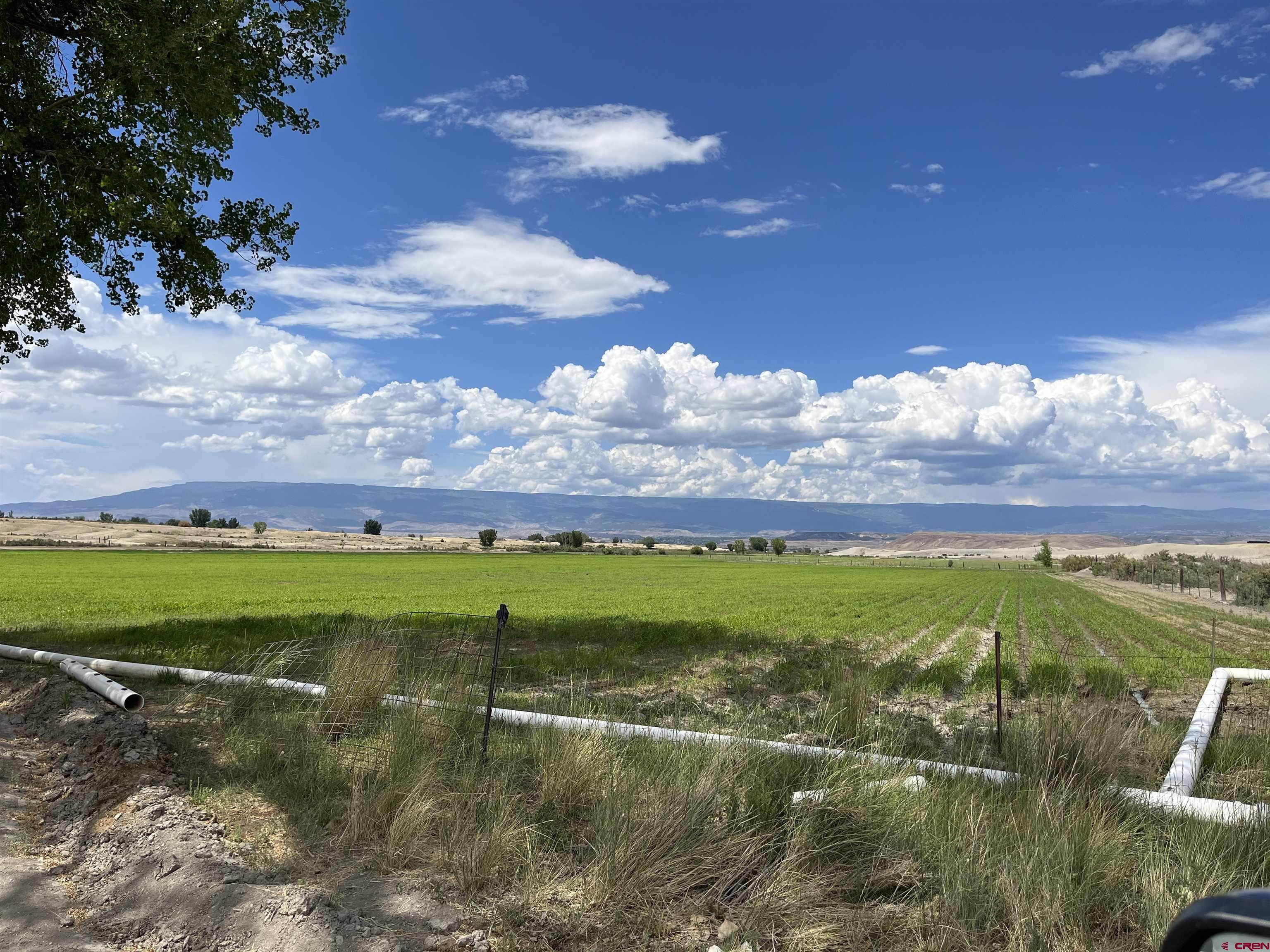 D50 D50 Road Delta, CO 81416 - Photo 3 of 12 a view of an ocean and a yard