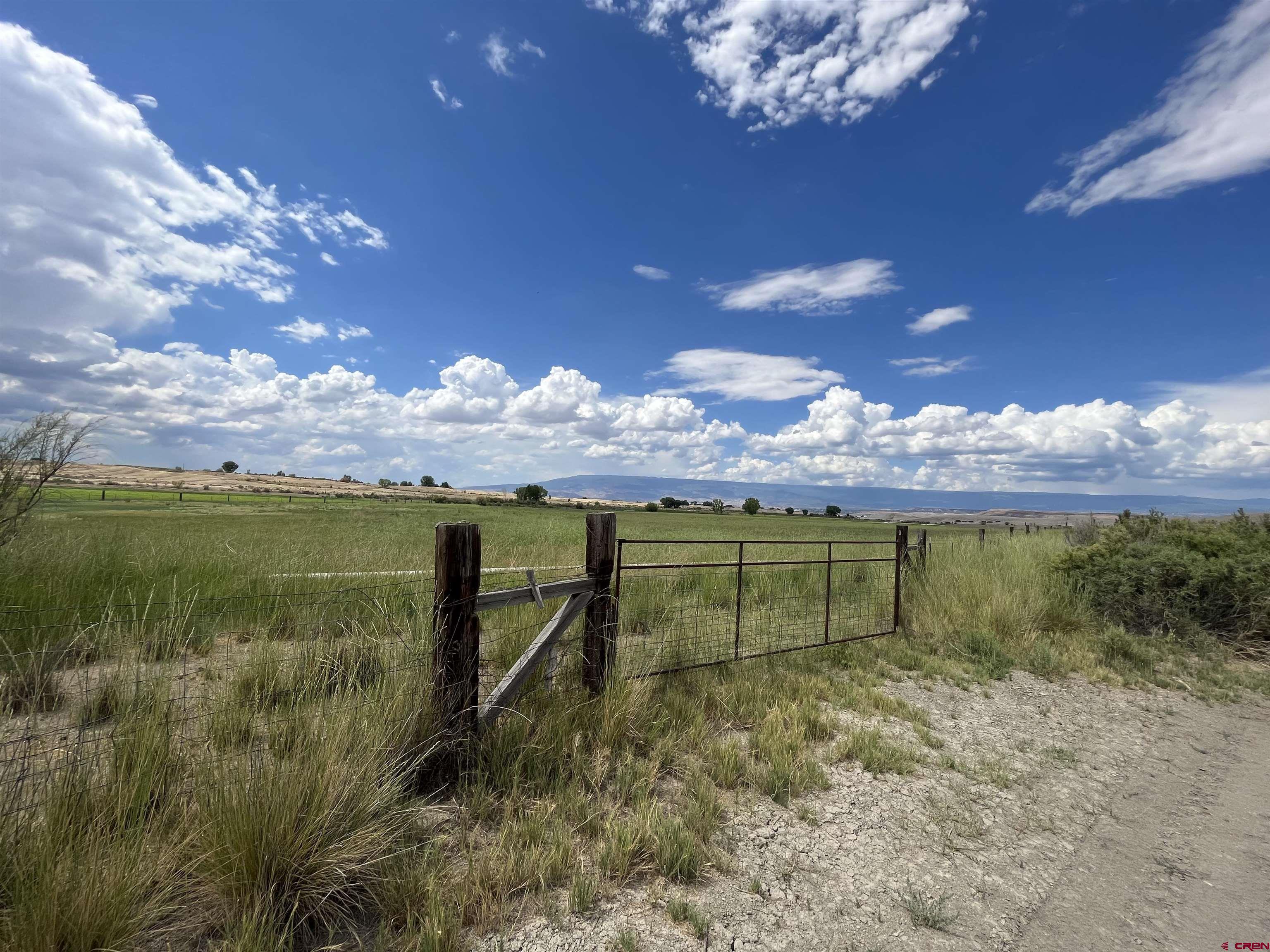 D50 D50 Road Delta, CO 81416 - Photo 5 of 12 a view of a lake from a yard
