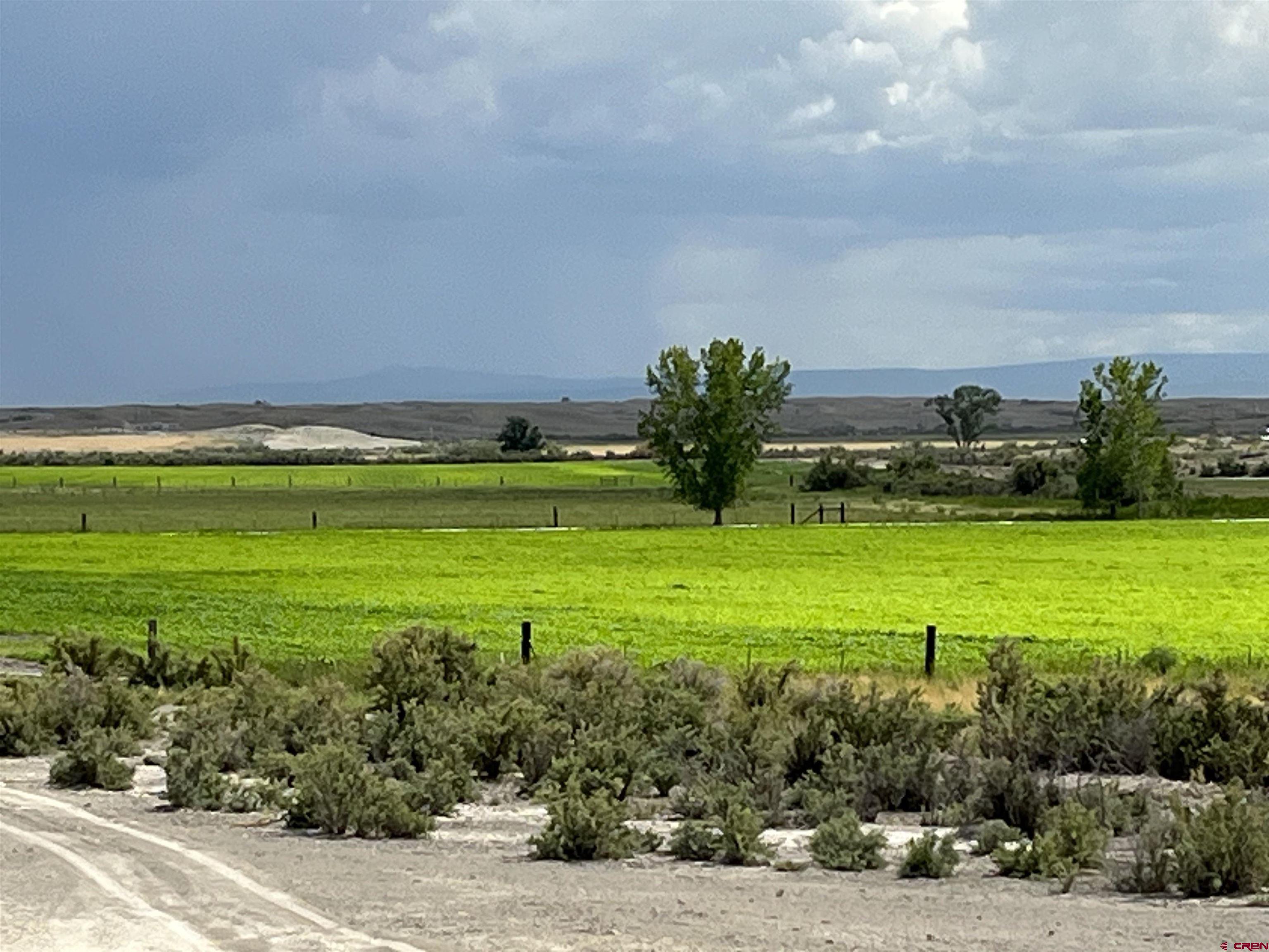 D50 D50 Road Delta, CO 81416 - Photo 7 of 12 a view of a golf course with a garden