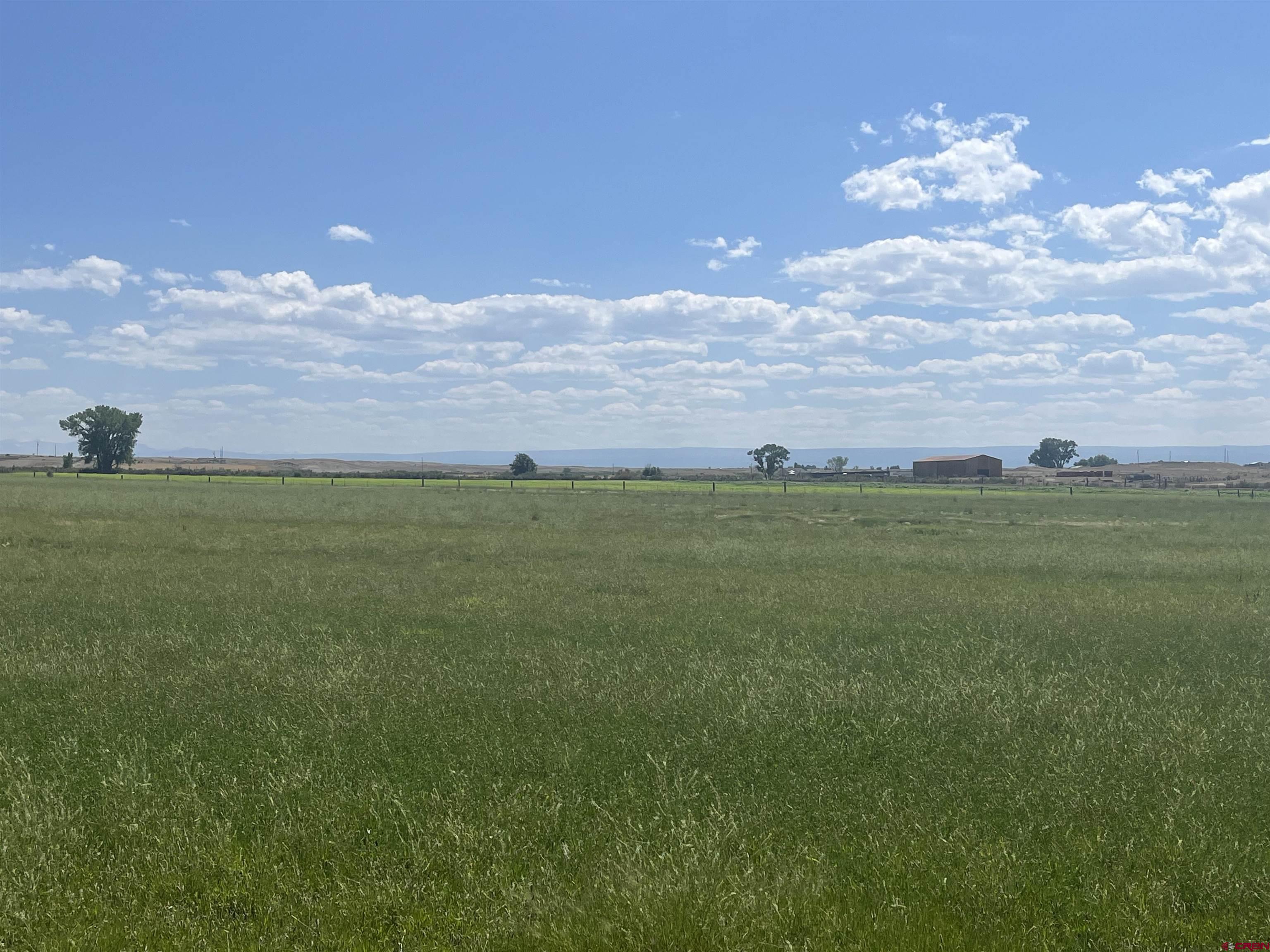 D50 D50 Road Delta, CO 81416 - Photo 8 of 12 a view of a big yard with a house