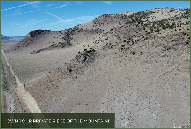 a view of a area with a tree