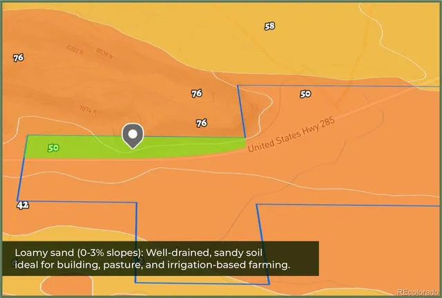 a view of a dry yard