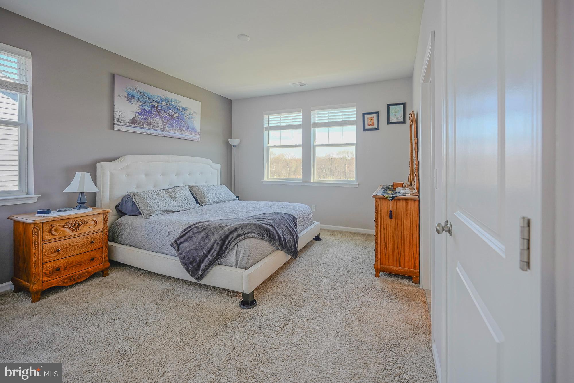 15 Turin Way Mount Laurel, NJ 08054 - Photo 20 of 36 a spacious bedroom with a bed and a cabinets