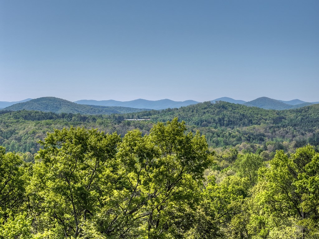 769 Voylestown Road Morganton, GA 30560 - Photo 5 of 67