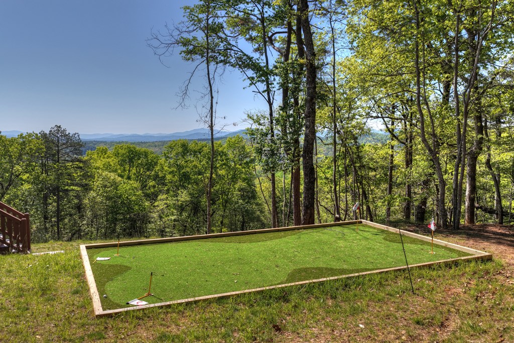 769 Voylestown Road Morganton, GA 30560 - Photo 54 of 67