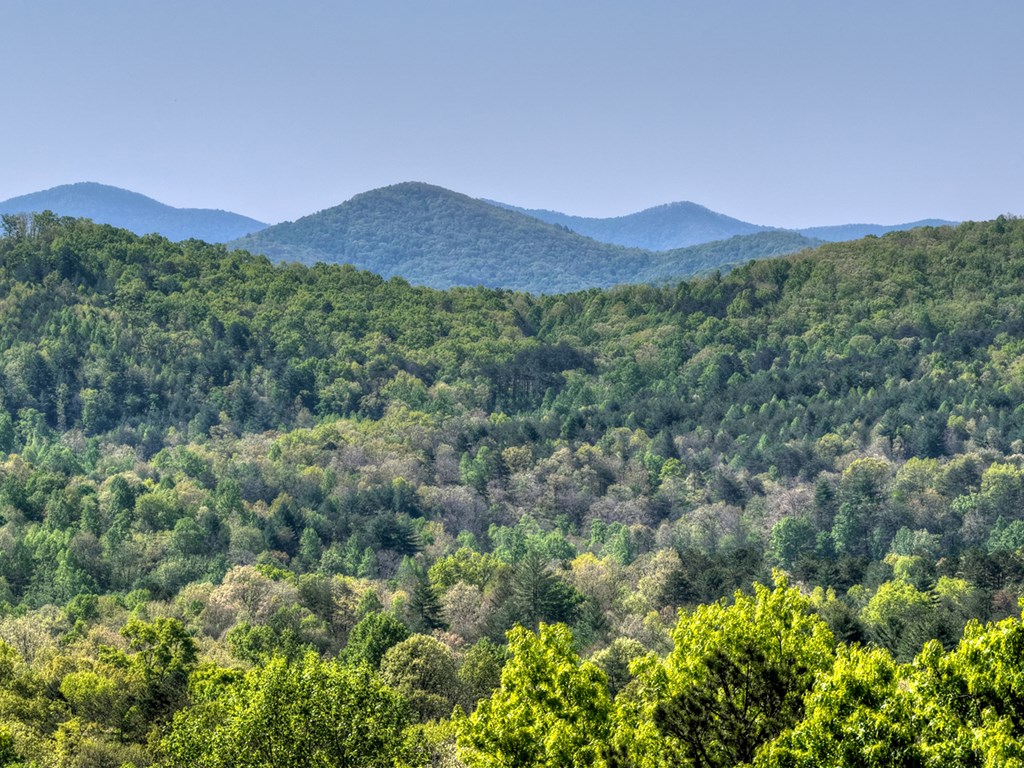 769 Voylestown Road Morganton, GA 30560 - Photo 55 of 67