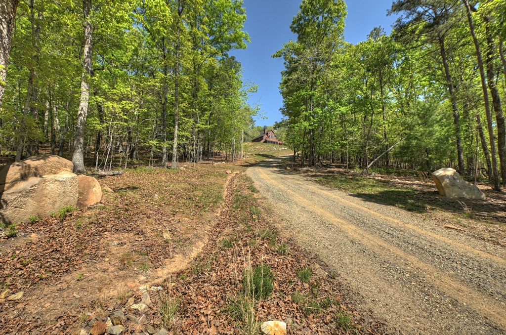 769 Voylestown Road Morganton, GA 30560 - Photo 67 of 67