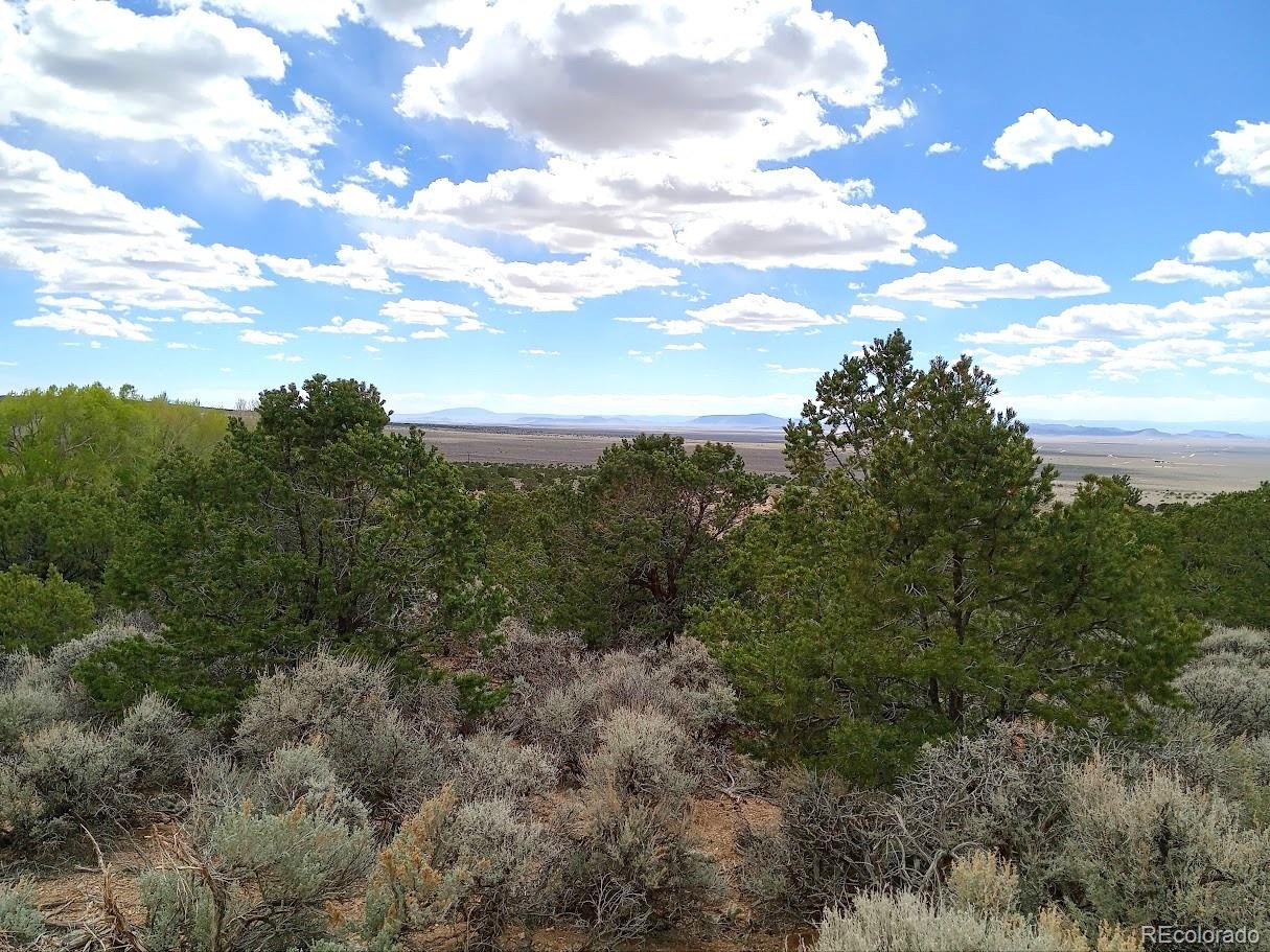 Lot 1258 Michaels Road Fort Garland, CO 81133 - Photo 8 of 14 Gallery Image 8