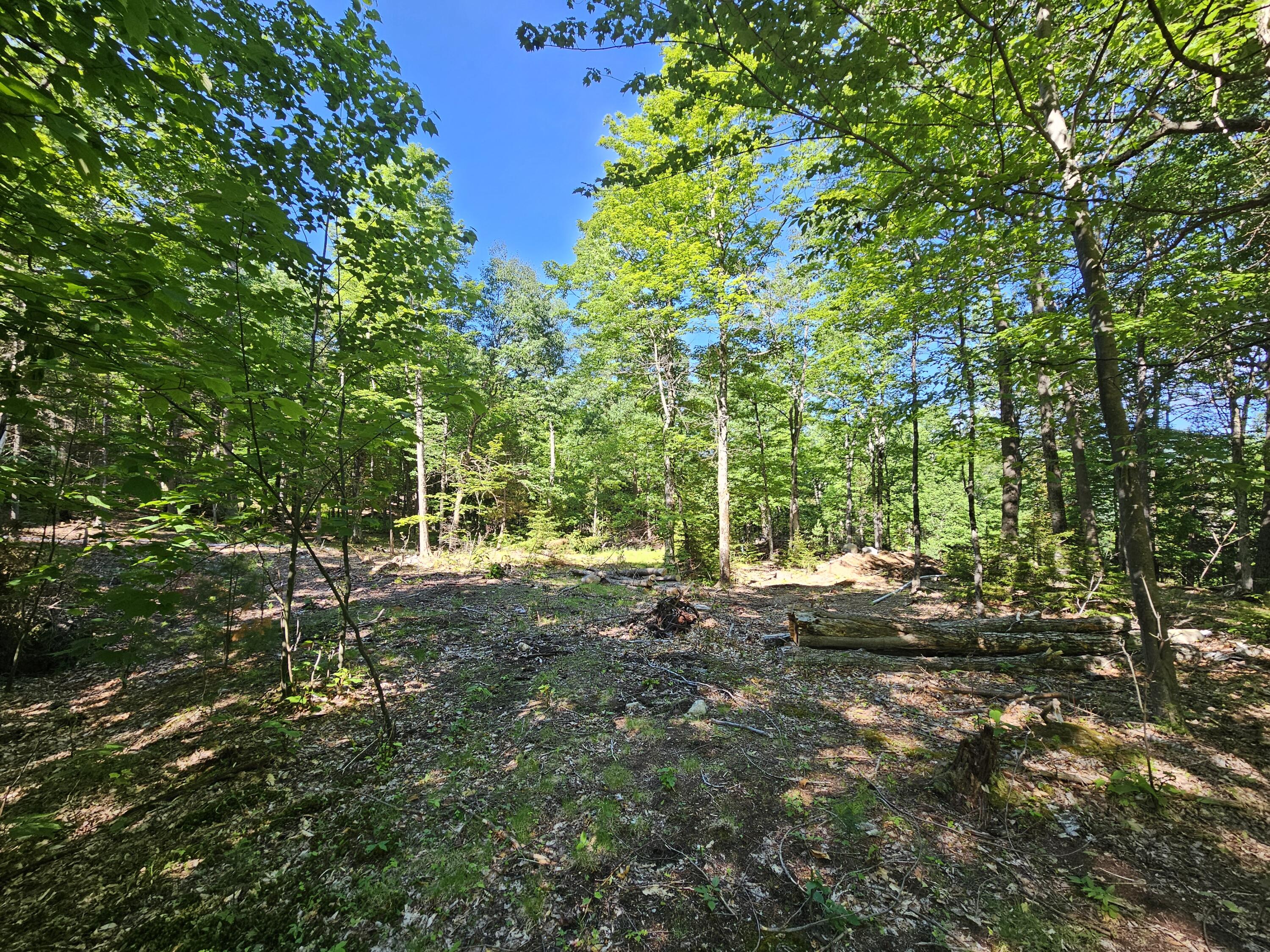 106 Maple Rdg Way Keene, NY 12942 - Photo 6 of 13