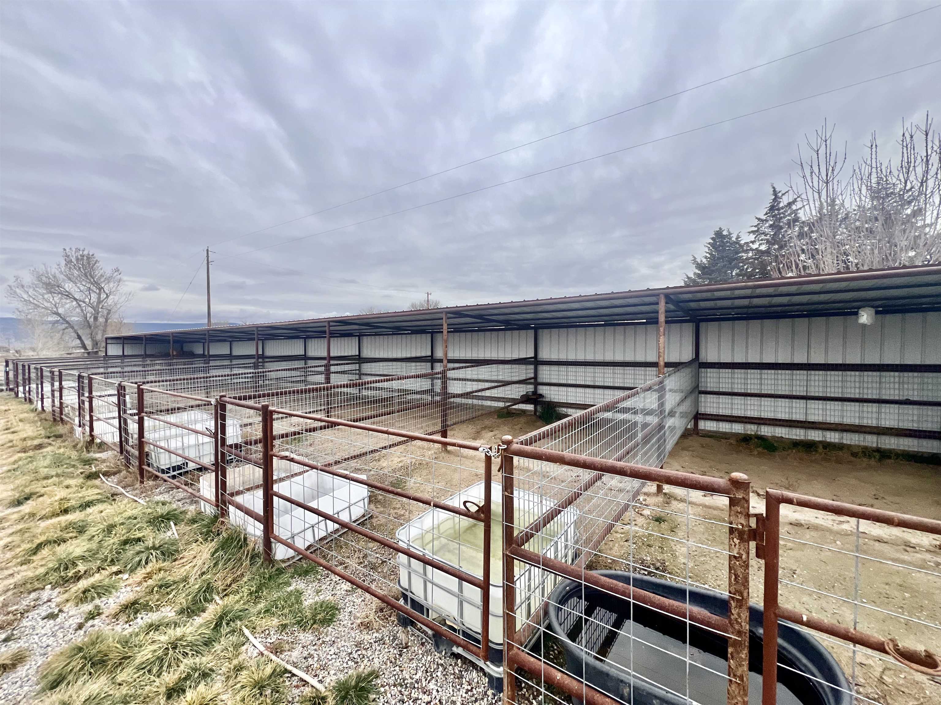 1456 17 Road Fruita, CO 81521 - Photo 37 of 42