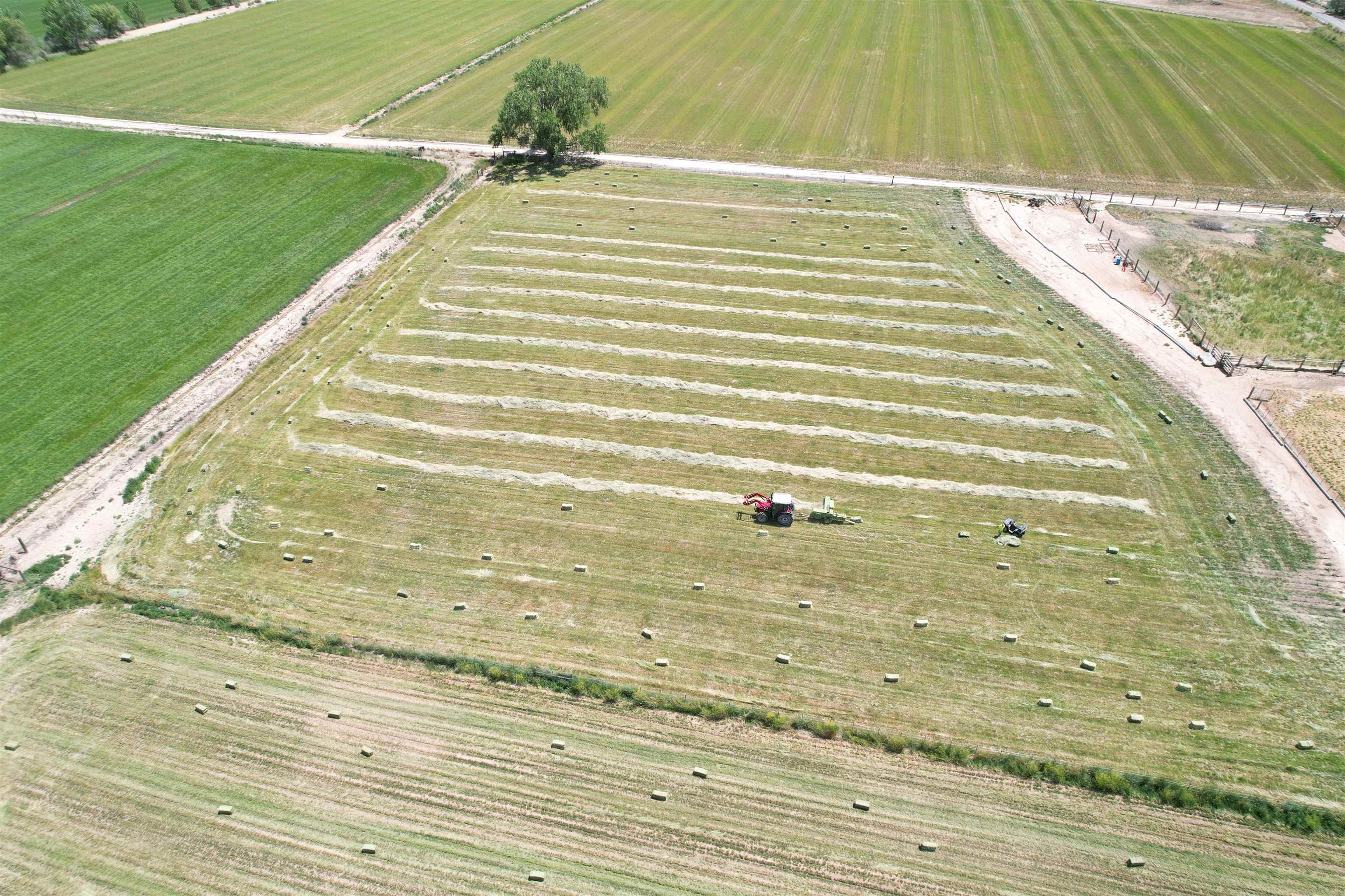 1456 17 Road Fruita, CO 81521 - Photo 40 of 42 a view of a swimming pool