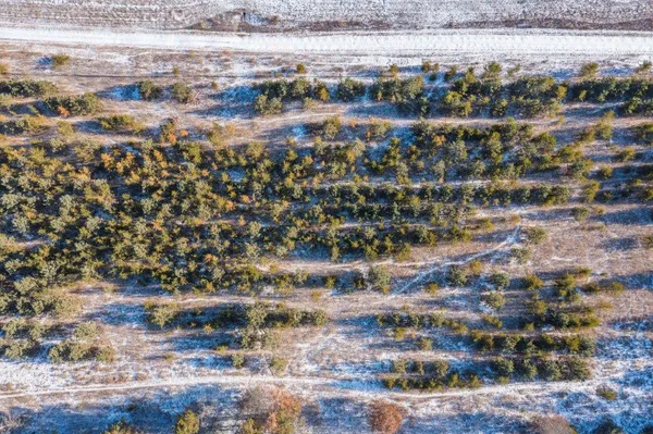 $650,000 | Tbd Jasperwood Drive, Baxter, MN 56425