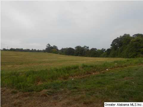 1400 Wilson Chapel Road, Unit 28 ACRES Oneonta, AL 35121 - Photo 15 of 19