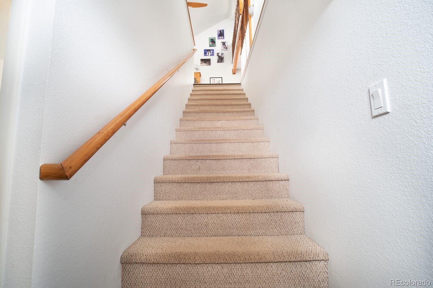 11651 Baca Road Conifer, CO 80433 - Photo 20 of 25 Gallery Image 20