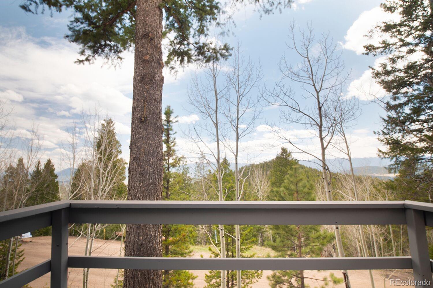 11651 Baca Road Conifer, CO 80433 - Photo 7 of 25 Gallery Image 7