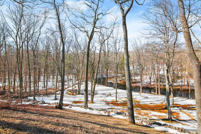 67 Hickok Road New Canaan, CT 06840 - Photo 24 of 56 a view of a yard with cars