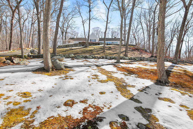 67 Hickok Road New Canaan, CT 06840 - Photo 51 of 56 a view of a yard with snow on the road
