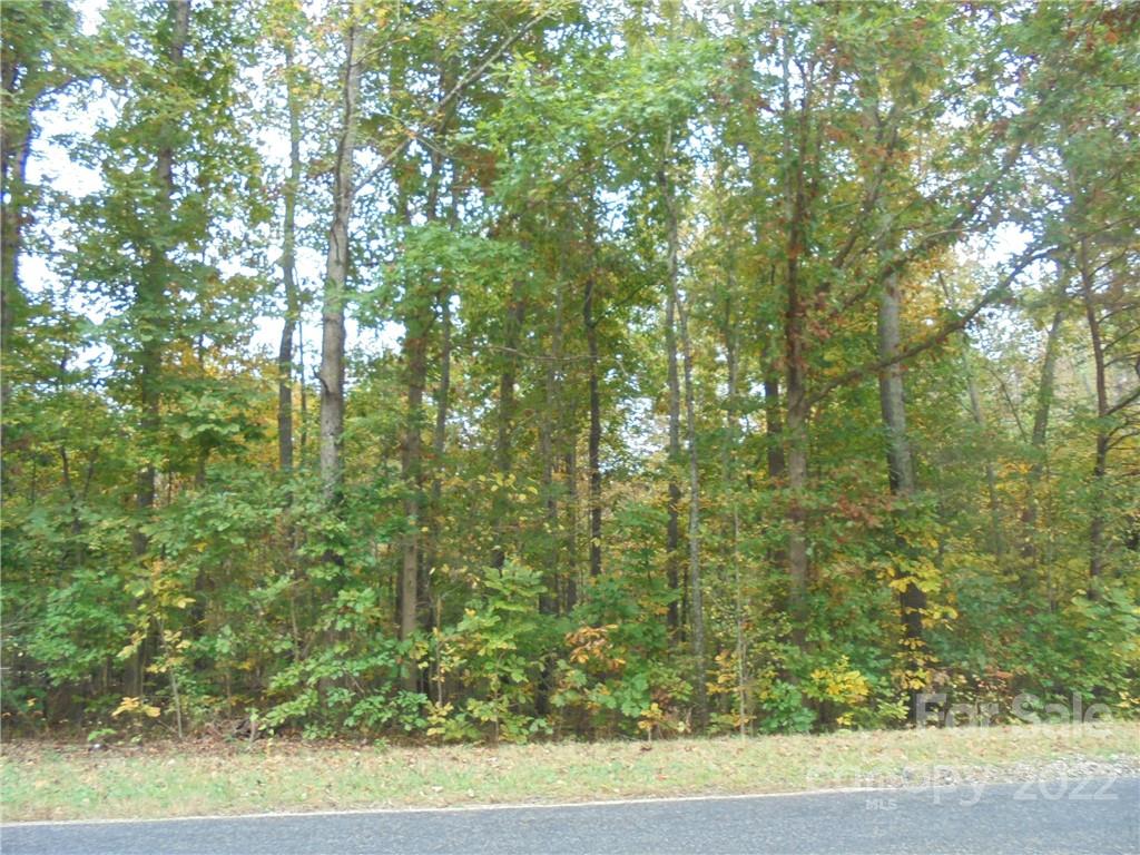 0 Cooper Road Salisbury, NC 28147 - Photo 2 of 6 a view of a lush green forest