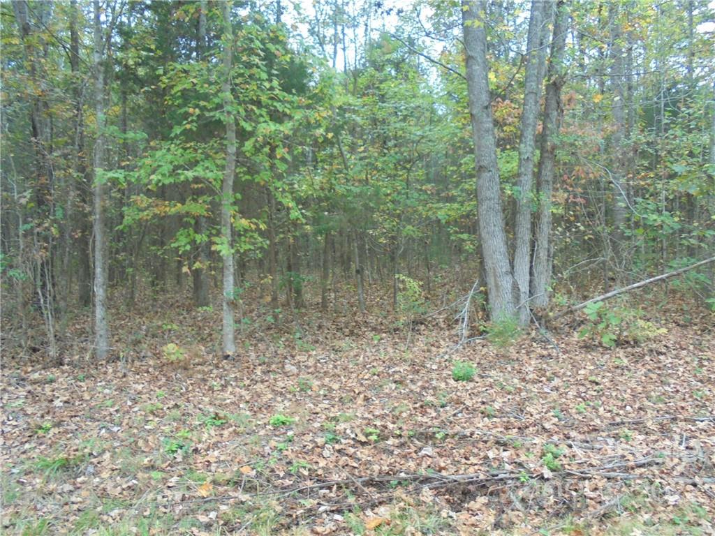0 Cooper Road Salisbury, NC 28147 - Photo 4 of 6 a backyard of a house with lots of green space