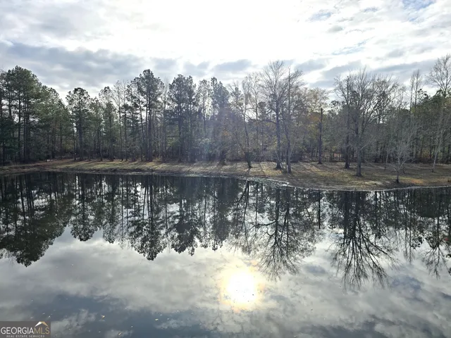 a view of a lake with trees in the background