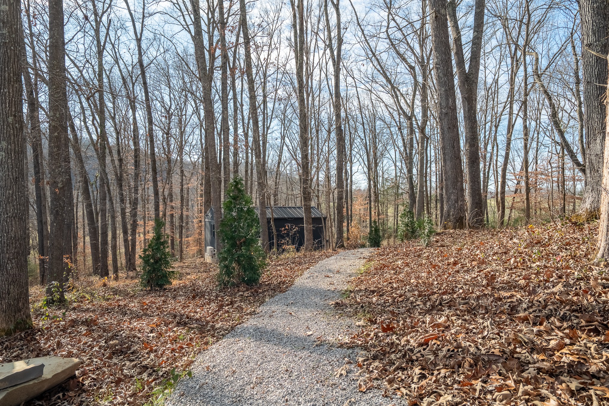 1545 Blue Springs Road Sparta, TN 38583 - Photo 55 of 99 a front view of a house with a yard