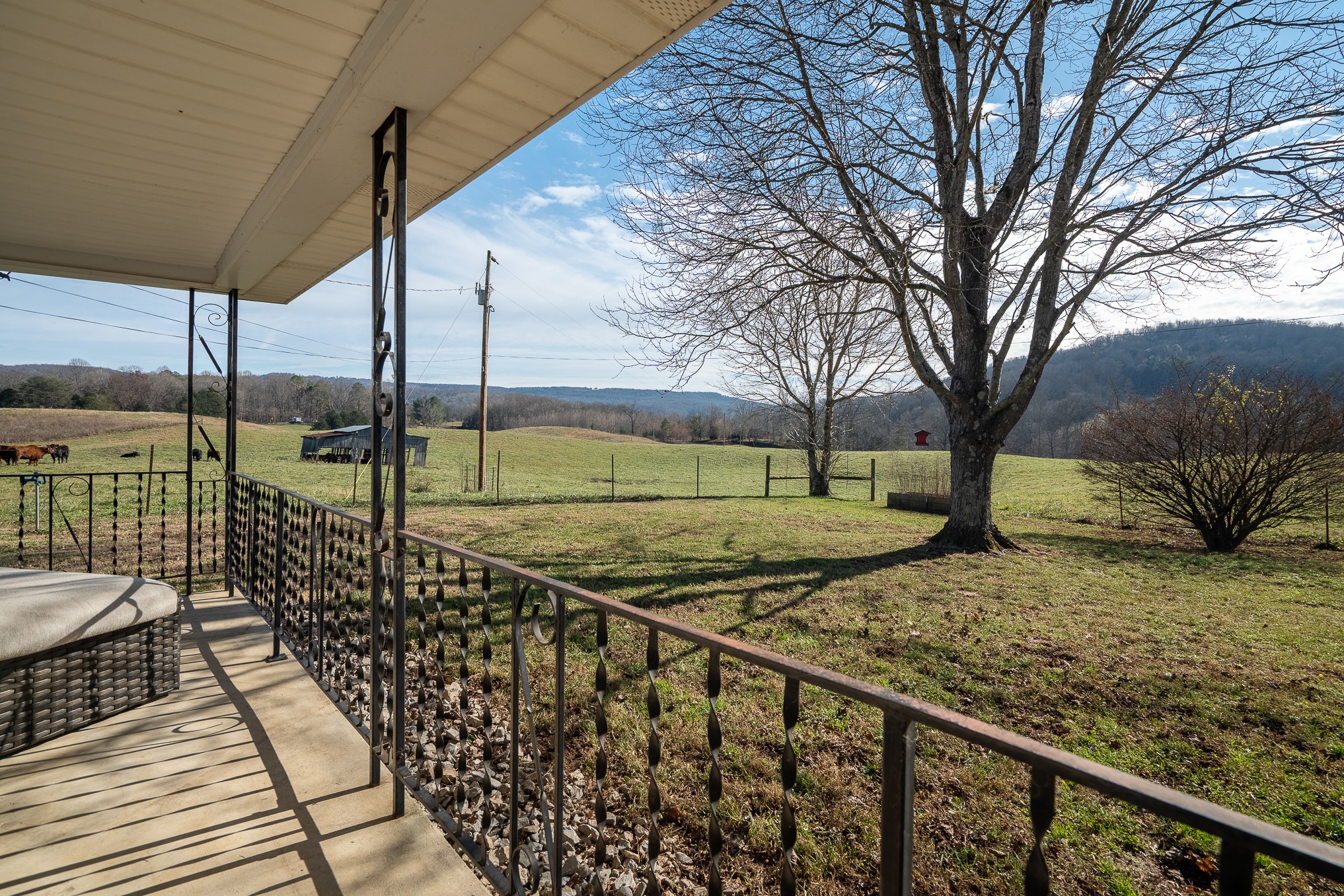 1545 Blue Springs Road Sparta, TN 38583 - Photo 62 of 99 a view of a street with wooden fence