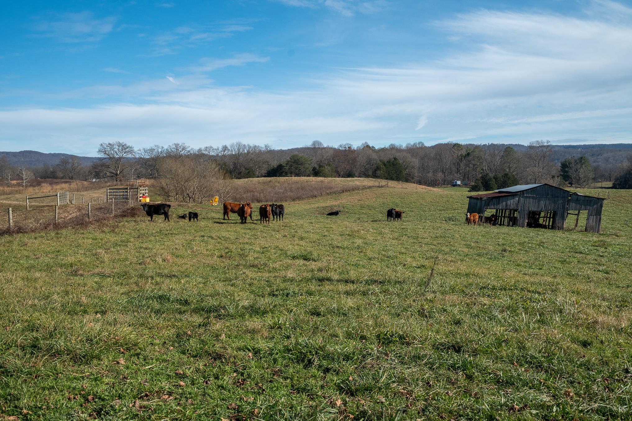 1545 Blue Springs Road Sparta, TN 38583 - Photo 80 of 99