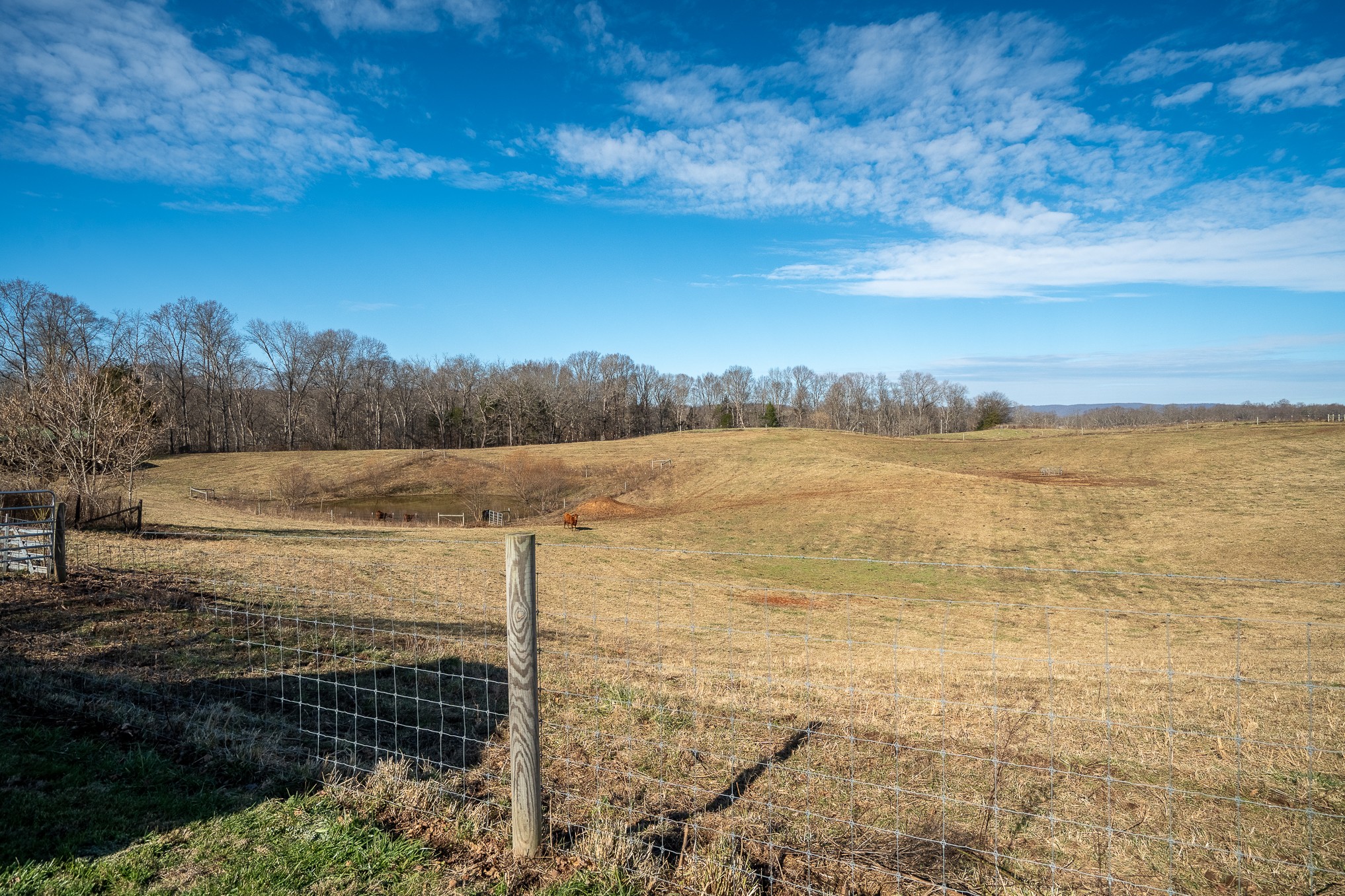 1545 Blue Springs Road Sparta, TN 38583 - Photo 81 of 99
