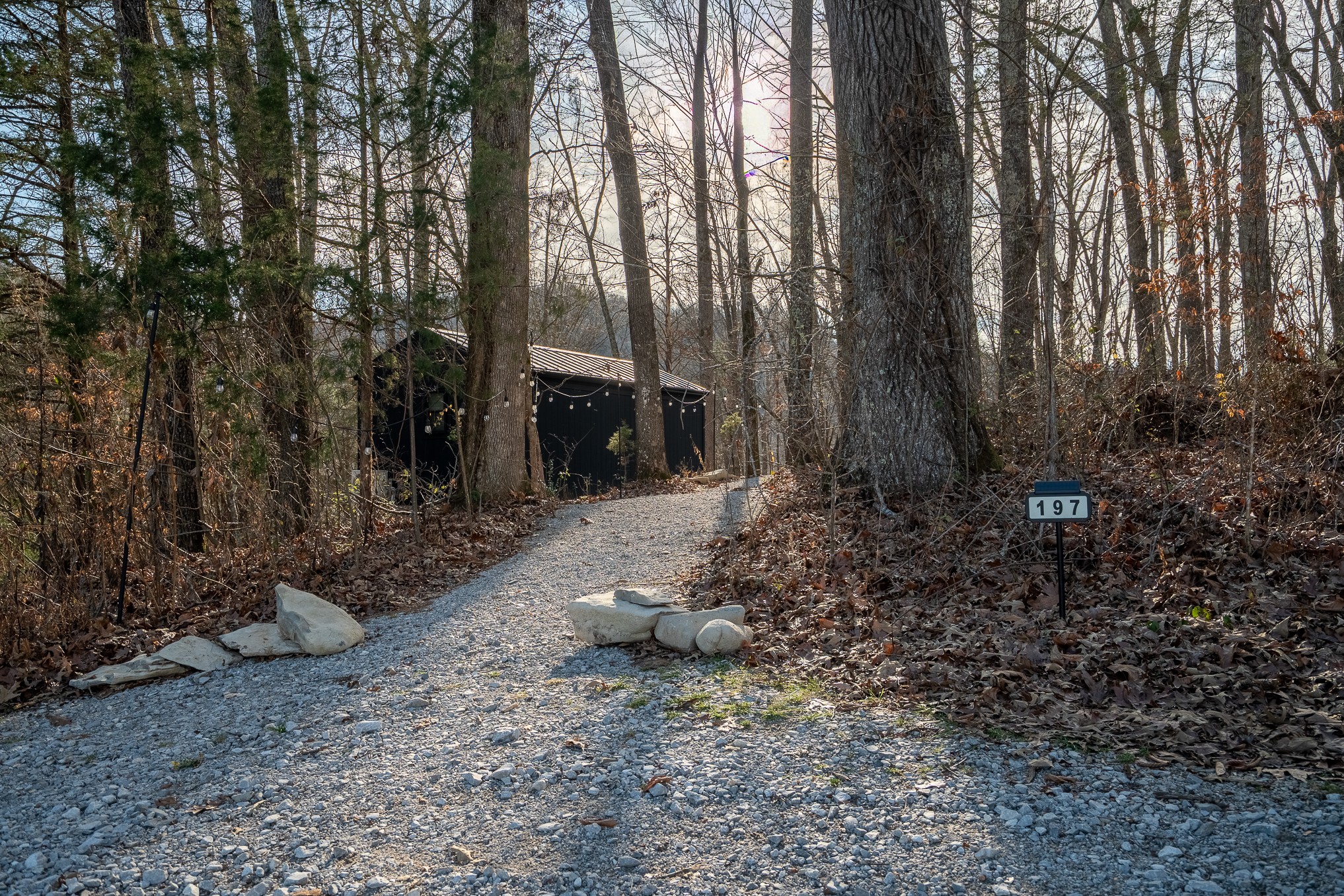 1545 Blue Springs Road Sparta, TN 38583 - Photo 87 of 99 a view of a back yard