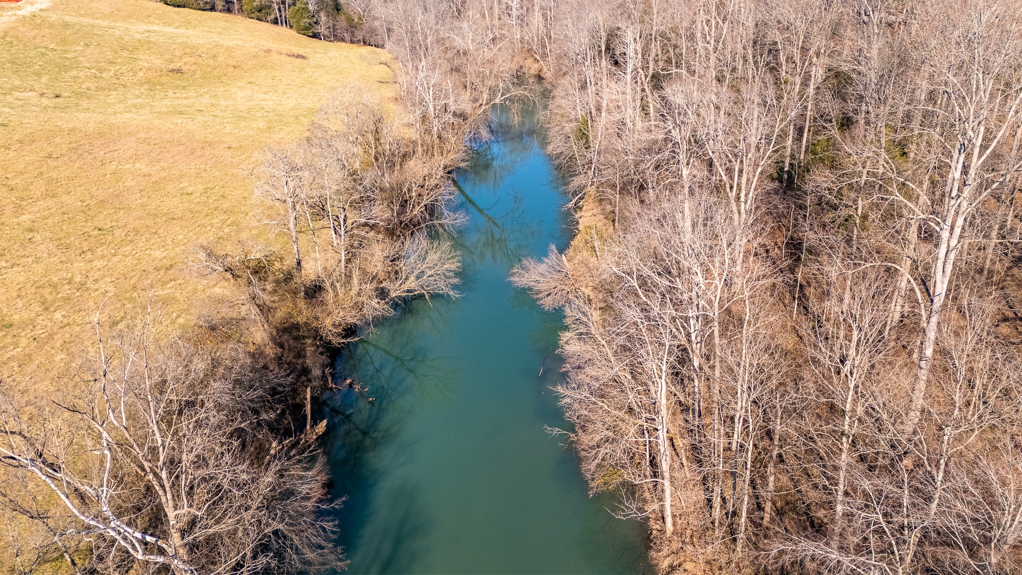 1545 Blue Springs Road Sparta, TN 38583 - Photo 95 of 99