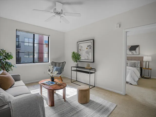 a living room with furniture a window and a potted plant