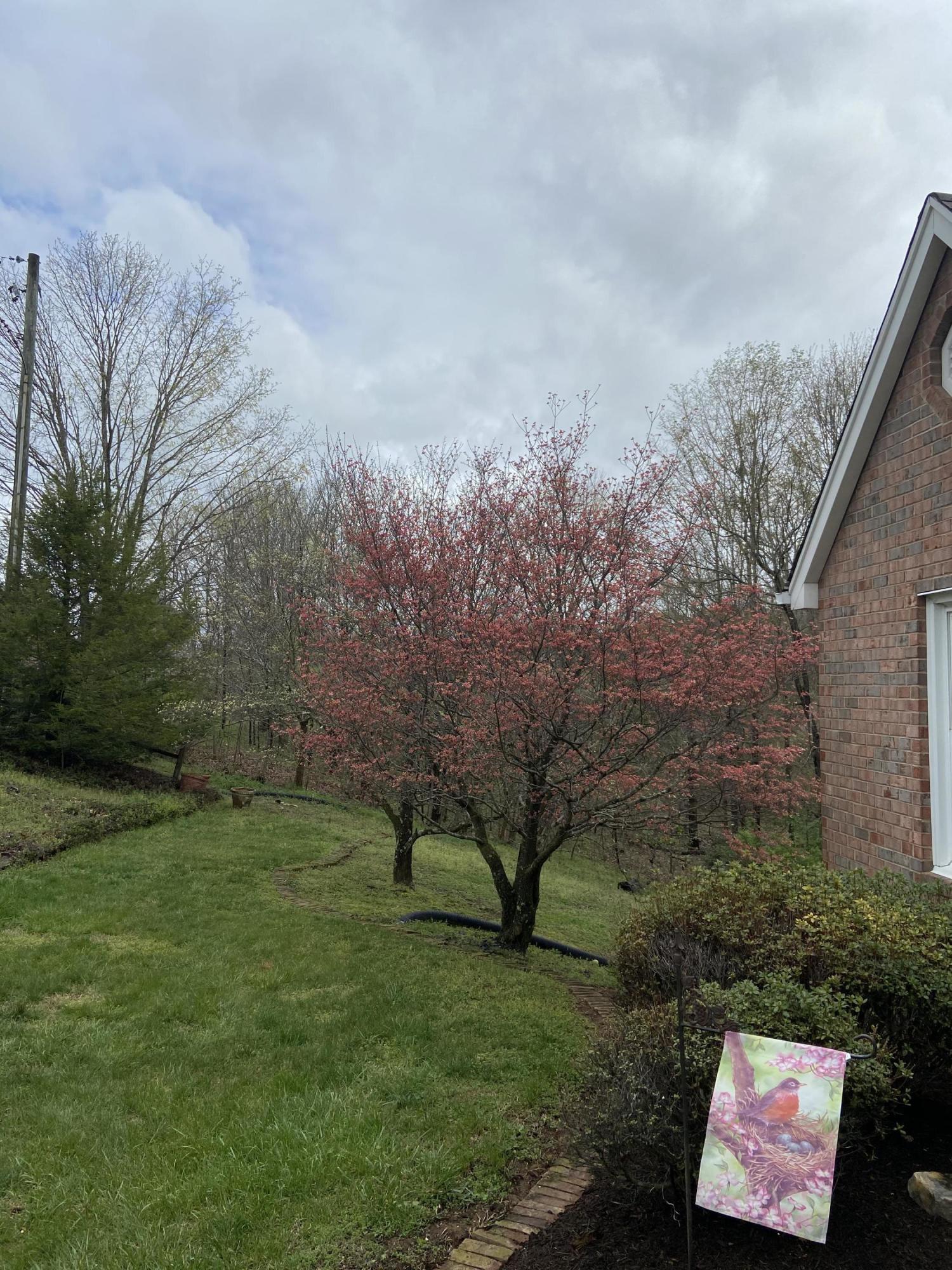 3450 Sterling Road Roanoke, VA 24014 - Photo 11 of 44 IMG_1087