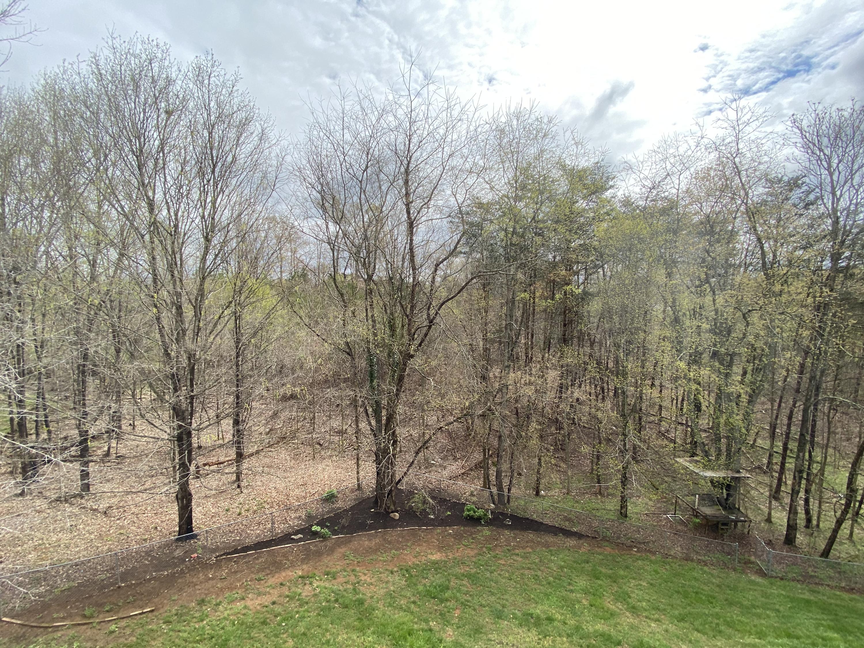 3450 Sterling Road Roanoke, VA 24014 - Photo 43 of 44 IMG_1141