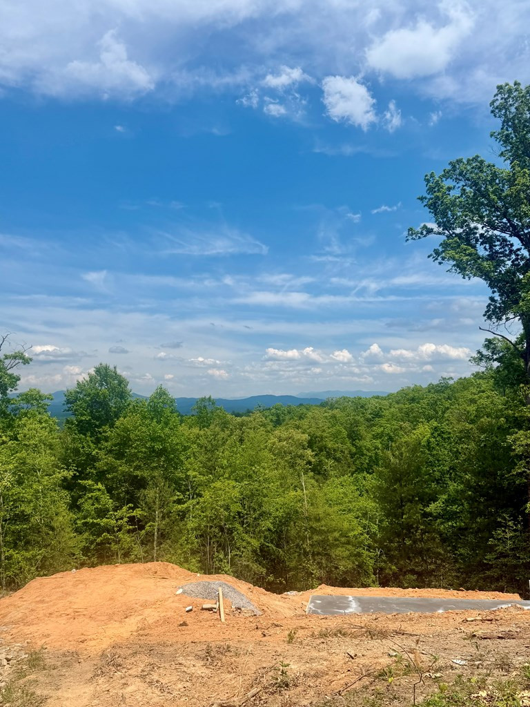 50 Lake Wood Road Murphy, NC 28906 - Photo 5 of 10