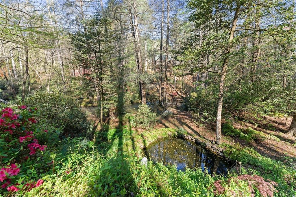4896 Highway 441 Tiger, GA 30576 - Photo 59 of 68