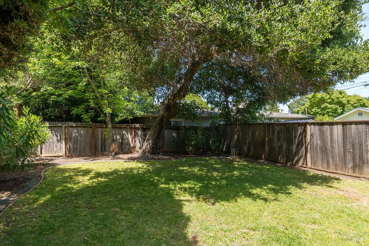 1135 4th Street Novato, CA 94945 - Photo 36 of 47 Large backyard of ADU. A fence separates this yard from the main house, but a gate could be added