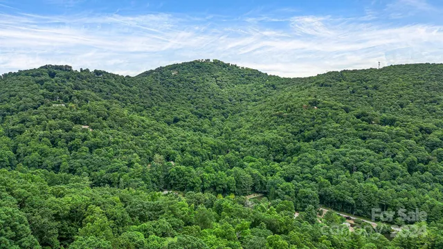 a view of a lush green forest with a mountain in the background