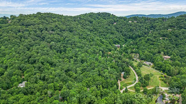 a view of a lush green forest with a mountain