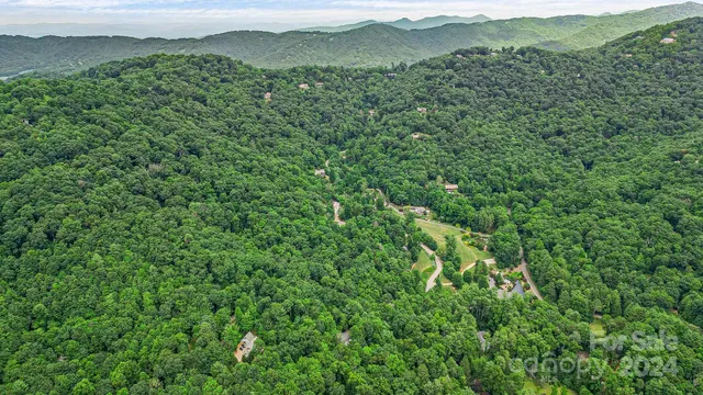 a view of a lush green forest with lush green forest