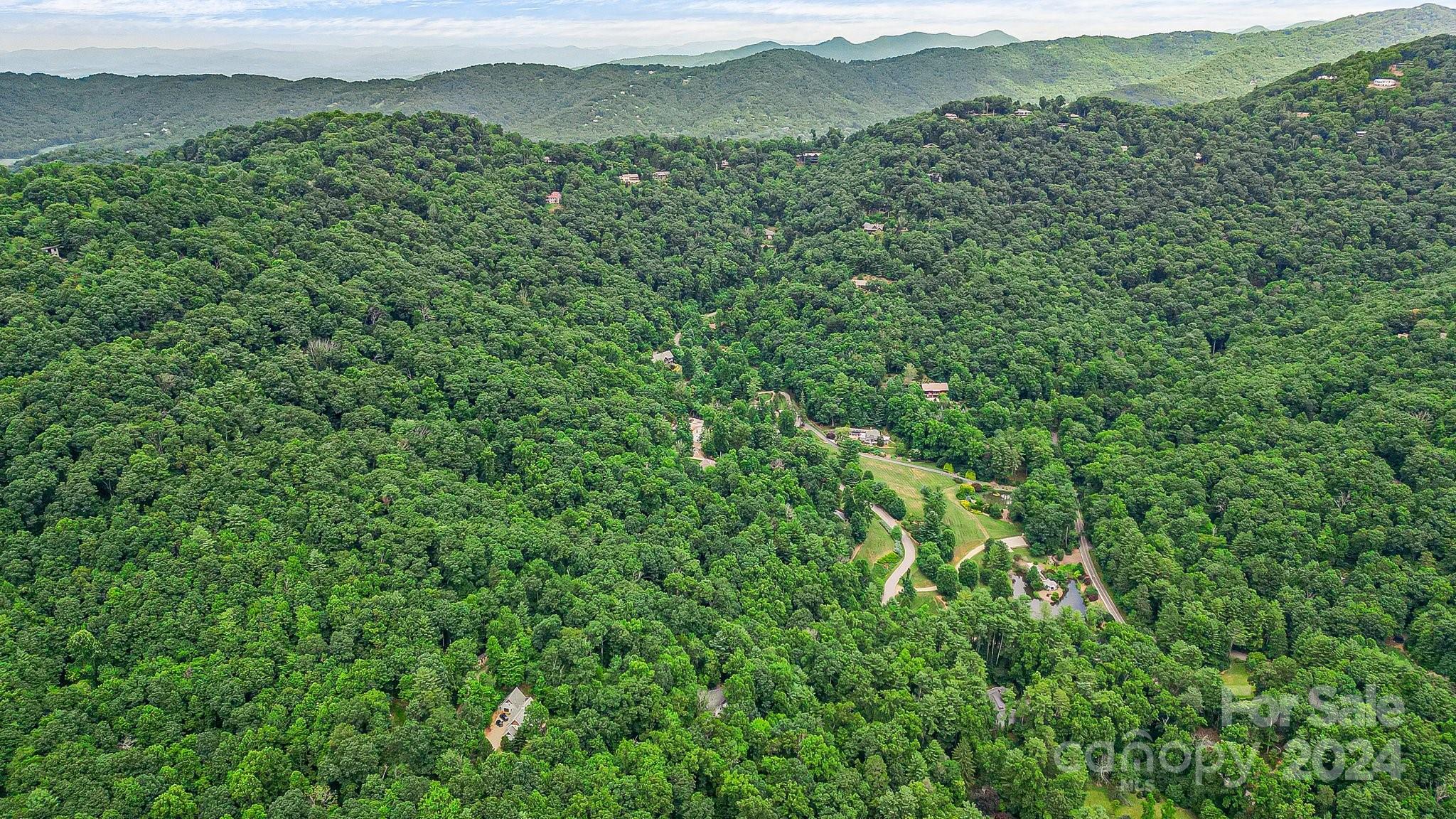 99999 Vance Gap Road Asheville, NC 28805 - Photo 13 of 23 a view of a lush green forest with a mountain in the background